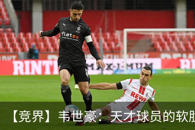 【竞界】韦世豪：天才球员的软肋 洪七公效应的外溢