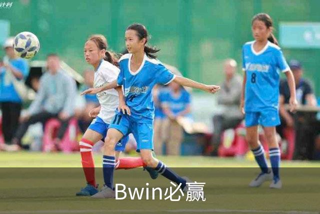 Bwin必赢公司简介